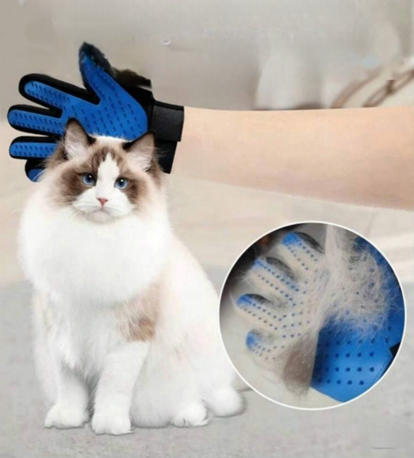 Gant de toilettage pour animaux de compagnie pour chat & chien